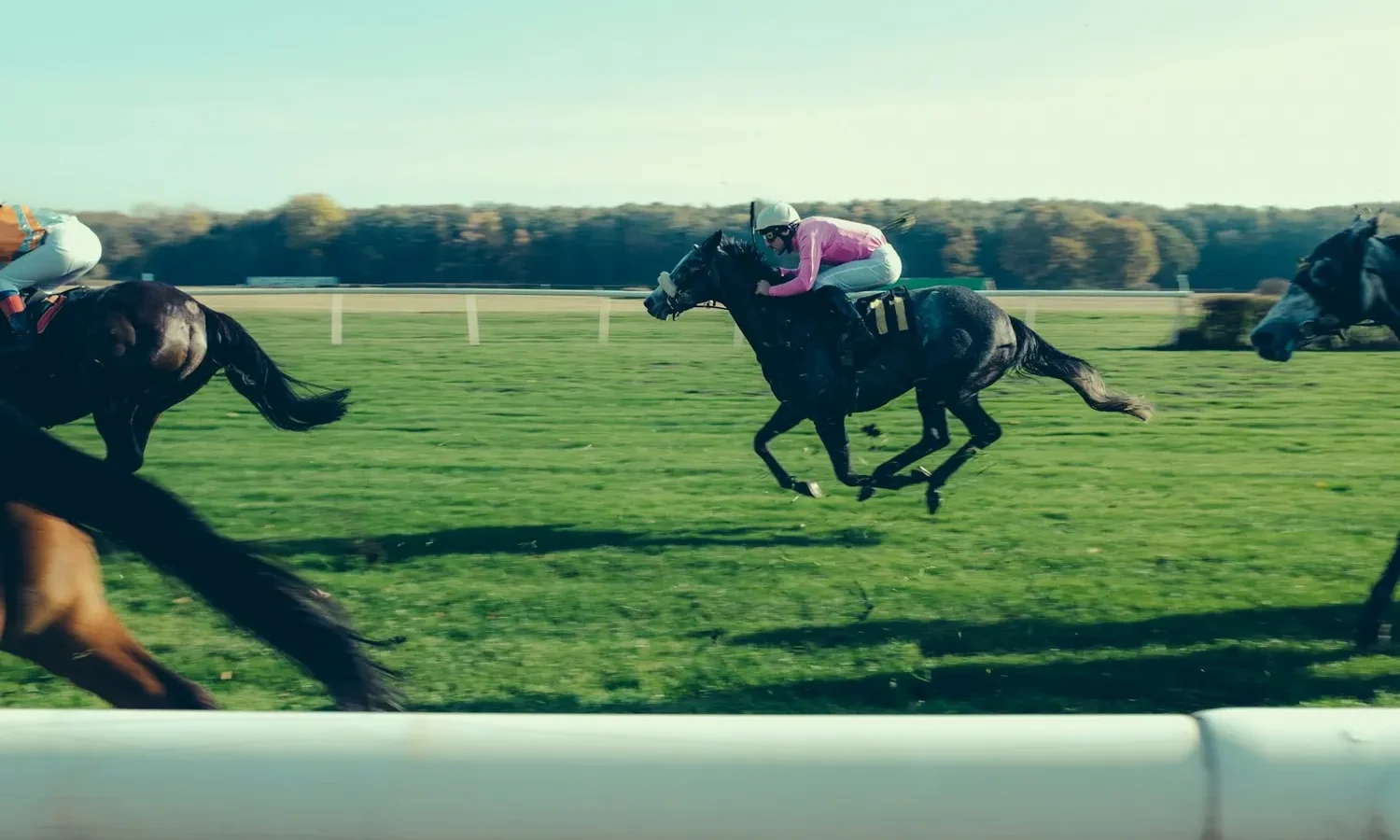 Chevaux au galop sur une piste en herbe