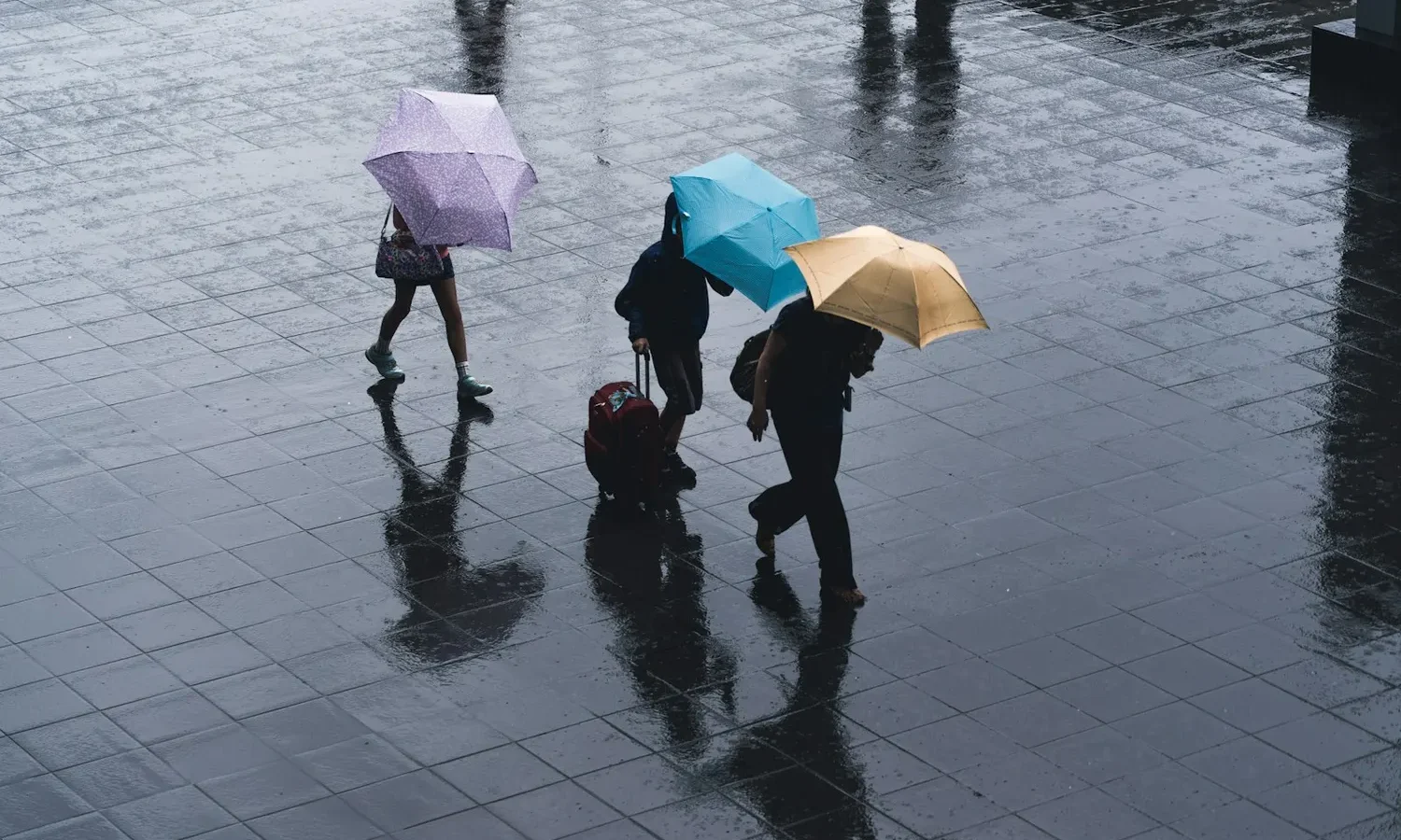 Passants avec parapluies sur un pavé mouillé