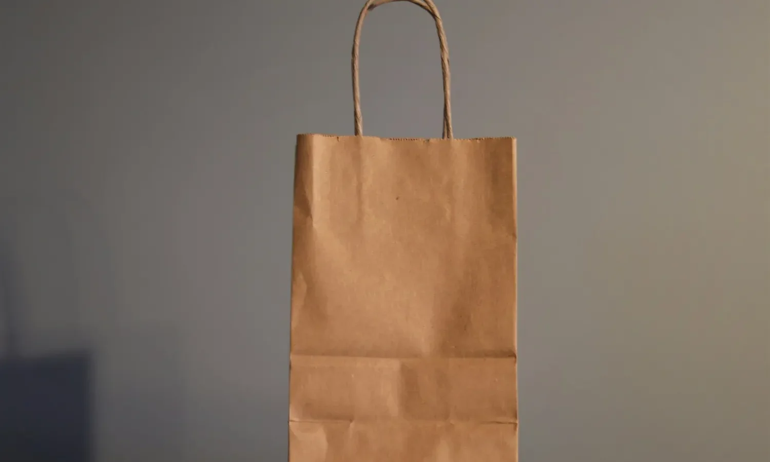 Sac en papier kraft